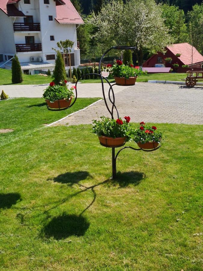 Pensiunea Andias Suczawica Zewnętrze zdjęcie